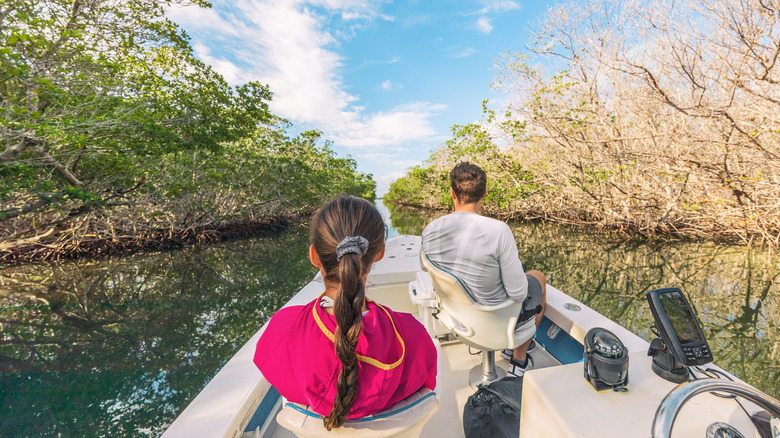 Couple in the Everglades