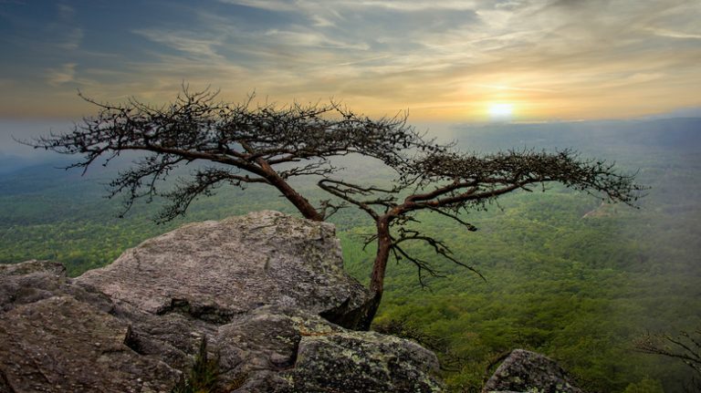 Overlook in Cheaha State Park