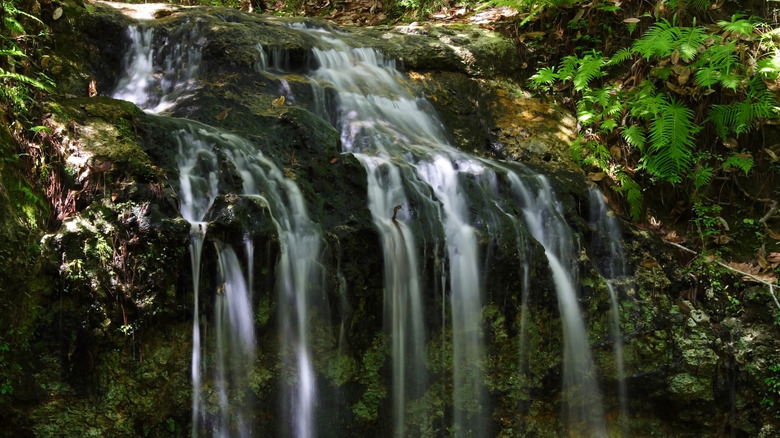 small natural waterfall