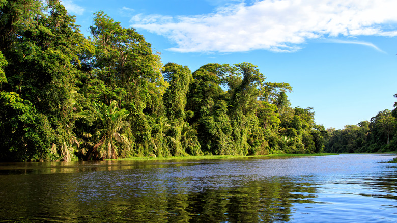 canal through Tortuguero National Park