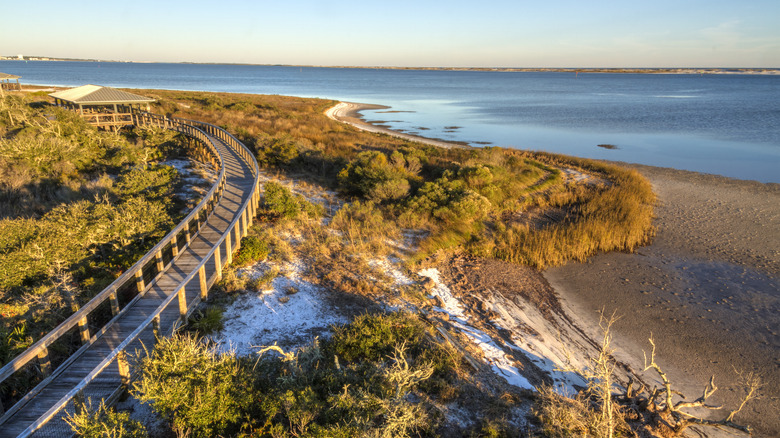 Big Lagoon State Park boardwalk