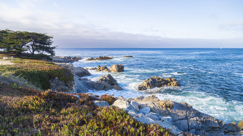 Monterey Bay, California