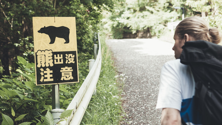 hiker looking at bear sign