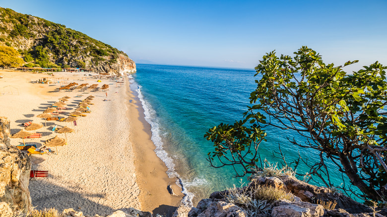 Mountains and beach with tree