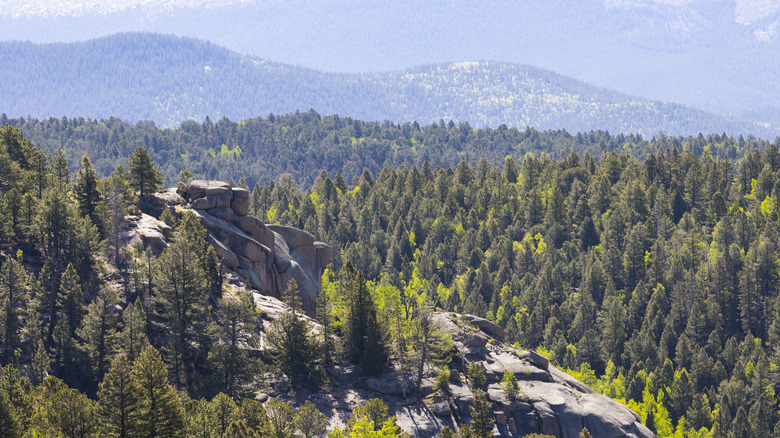 Mueller State Park, Colorado