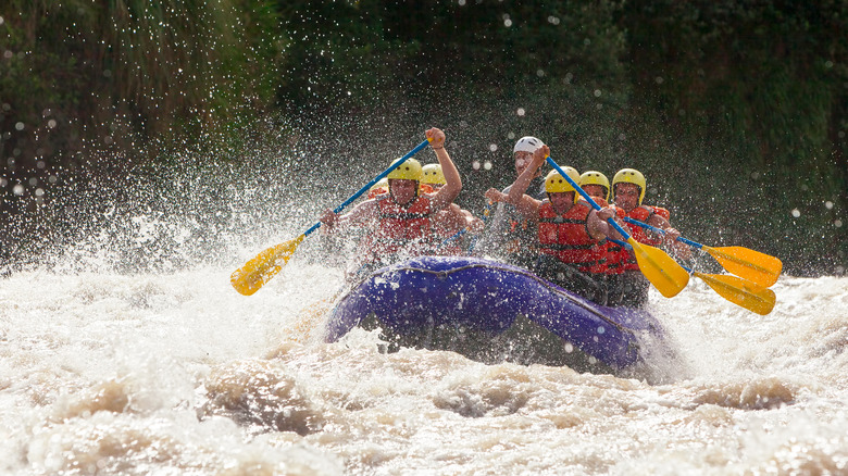 Travelers whitewater rafting