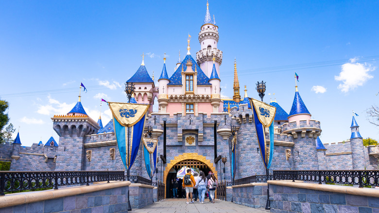 Disneyland castle