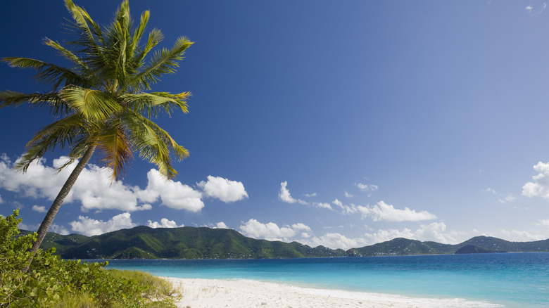 A beach in the British Virgin Islands