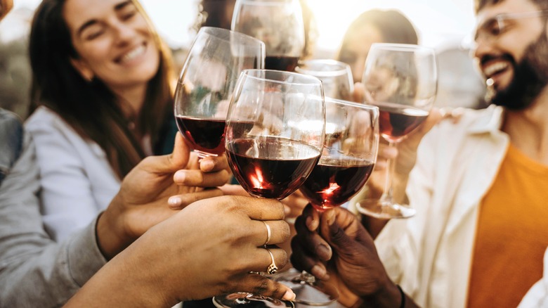 Group of young travelers toasting with wine