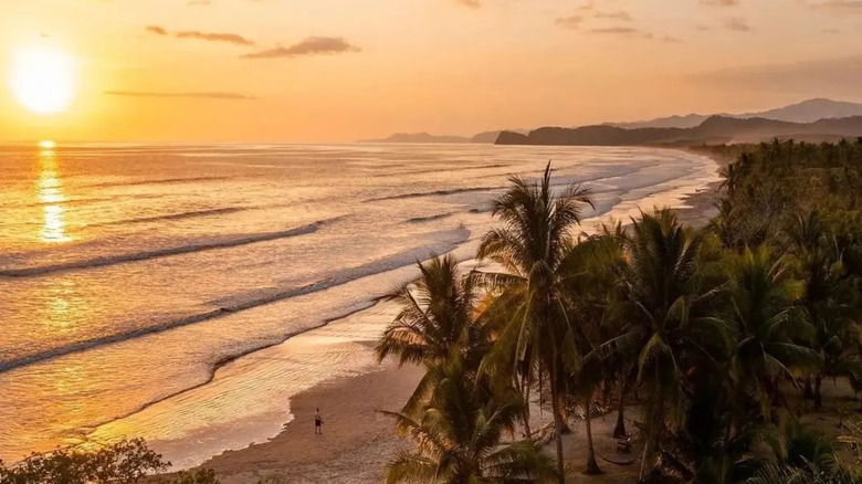 Sunset over palm-lined beach