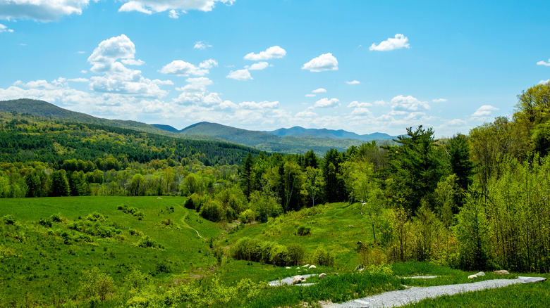 Taconic Mountains Ramble State Park in Vermont