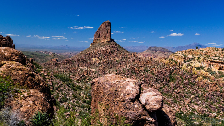 Desert landscape and Weaver's Needle