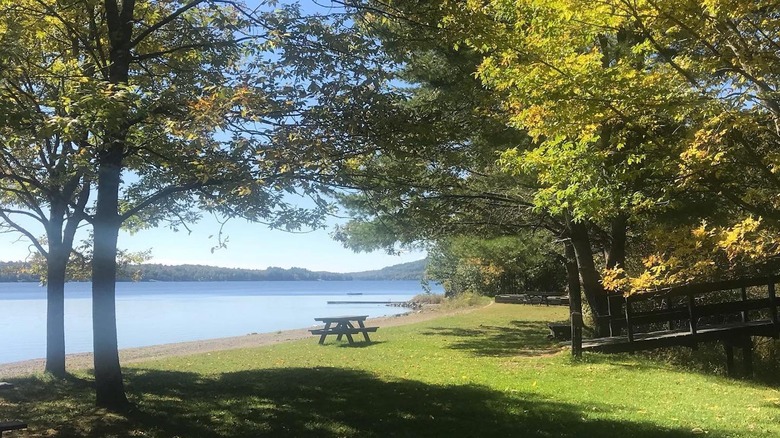 Lakeside picnic table under trees