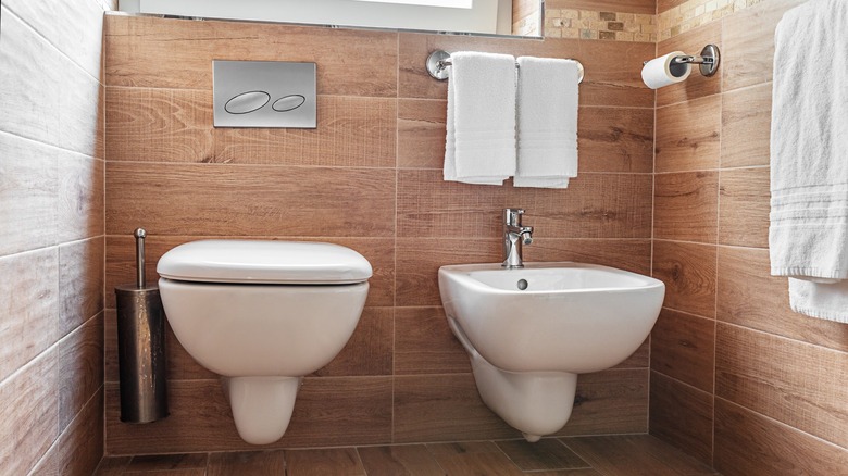 Toilet and bidet in an elegant washroom