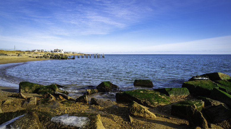 Calm seaside views in Falmouth