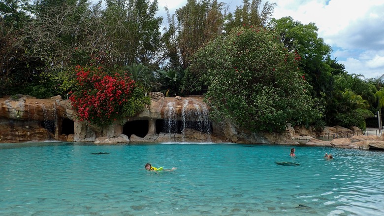 Discovery Cove, Orlando