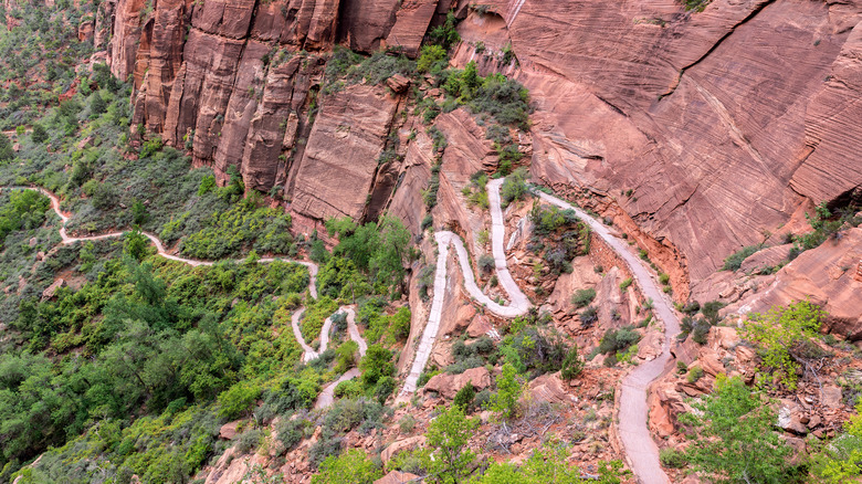 Angel's landing trail winds up cliffside