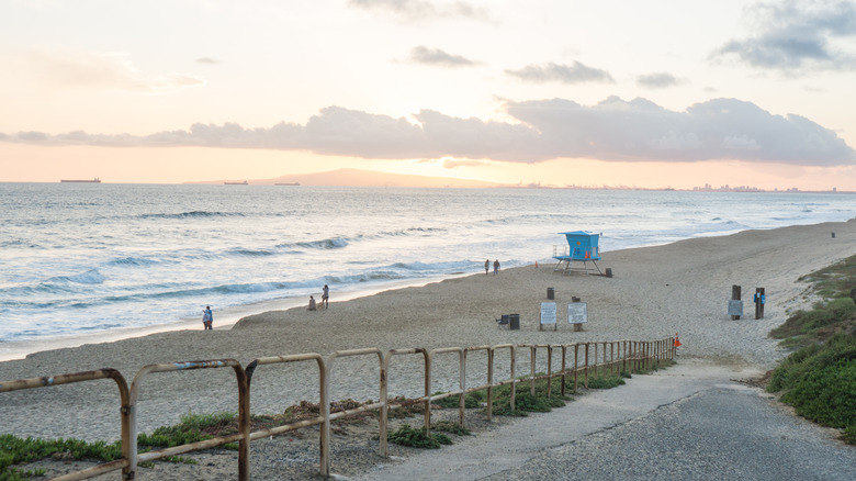 Bolsa Chica Beach