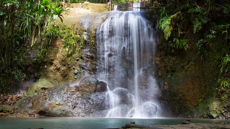 Colo-i-Suva Waterfalls, Fiji