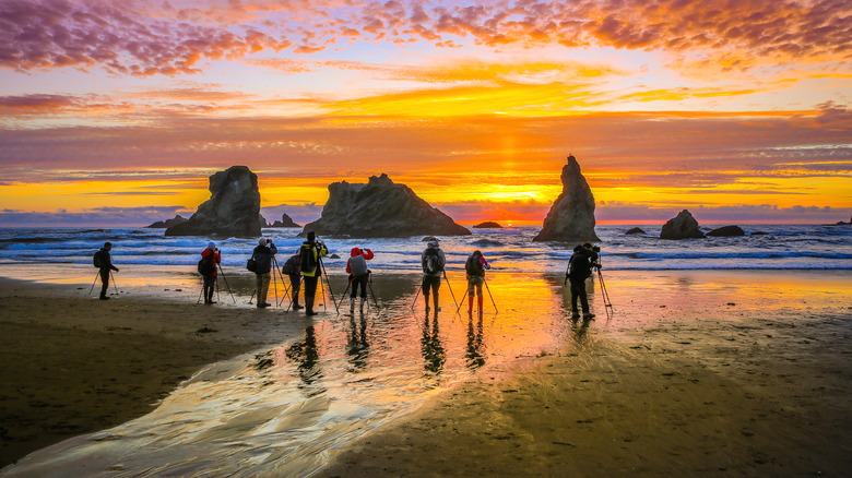 photographers photographing Bandon Beach sunset