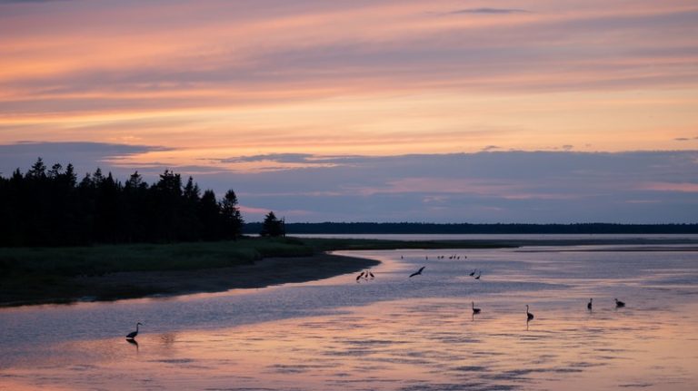 Dusk at beach in Kouchibouguac