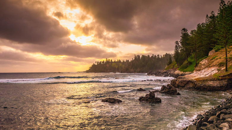 rugged coast at sunset