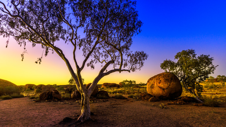 Devil's Marbles in Tennant Creek, Australia