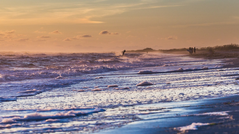 Don Pedro Island beachfront