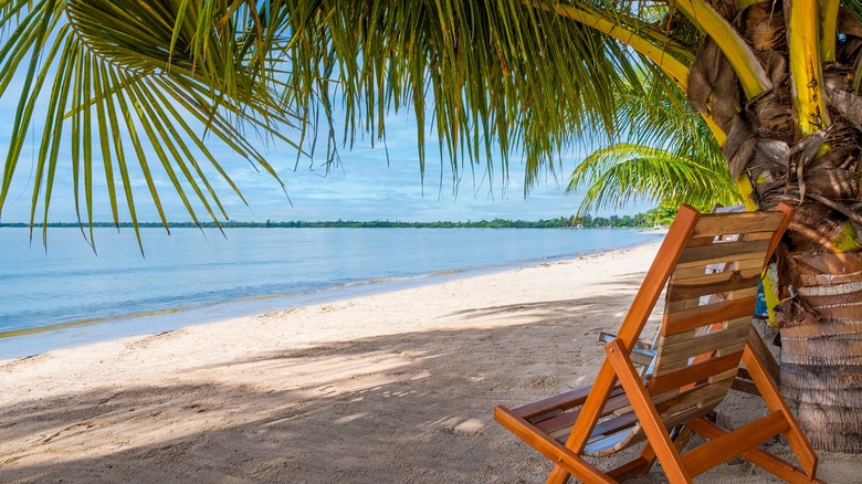 Beach chair at Playa Larga