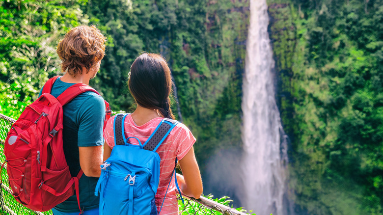 tourists looking at Akaka Falls