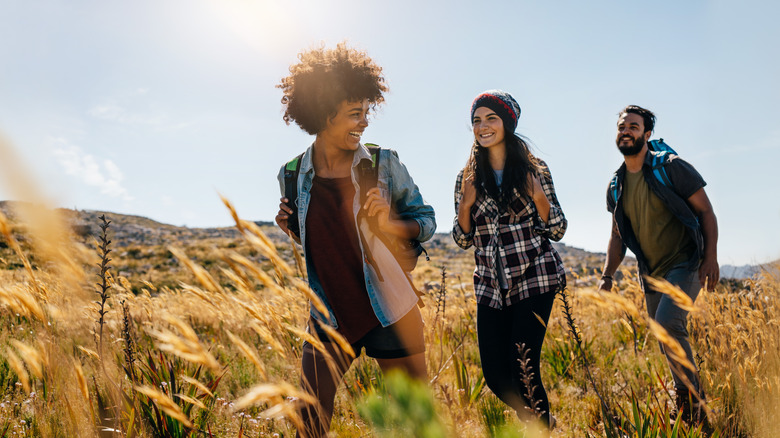 Friends on a sunny hike