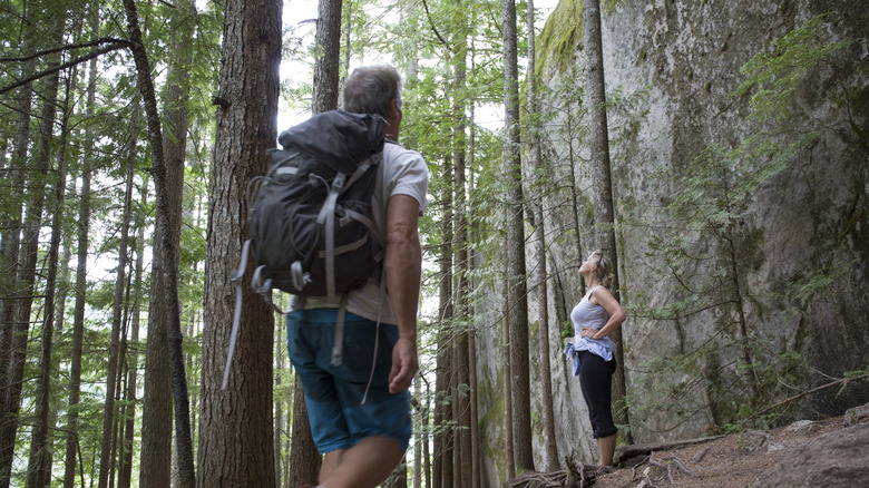 Couple hikin in hemlock forrest