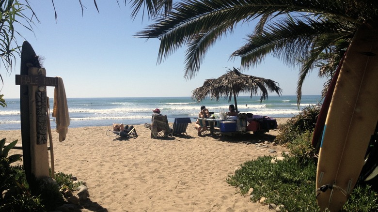 Surfers at San Onofre State Beach