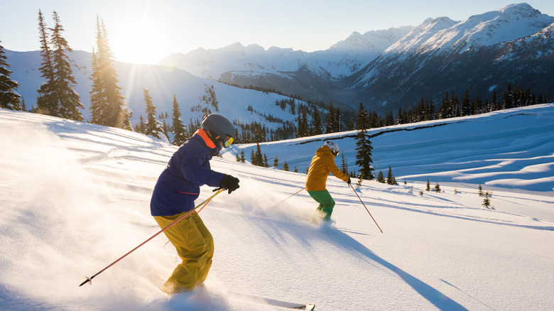 Two skiers on powdery snow