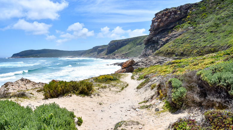 Rocky coastline and beach