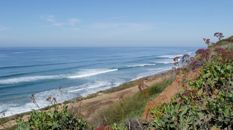 Beach view at Torrey Pines State Natural Reserve