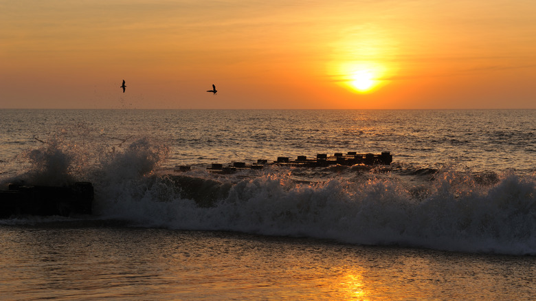 Beach at sunrise