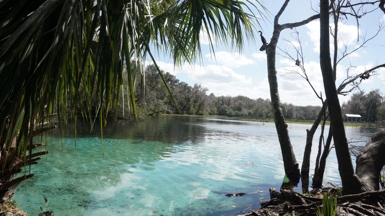 Rainbow Springs State Park