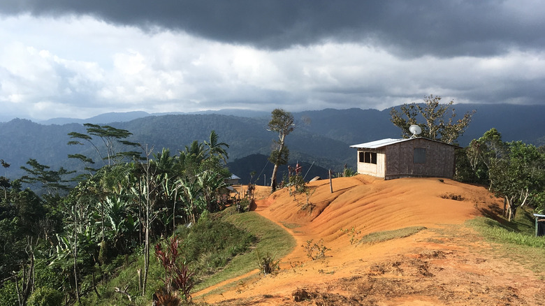 Small hut along Kokoda Track