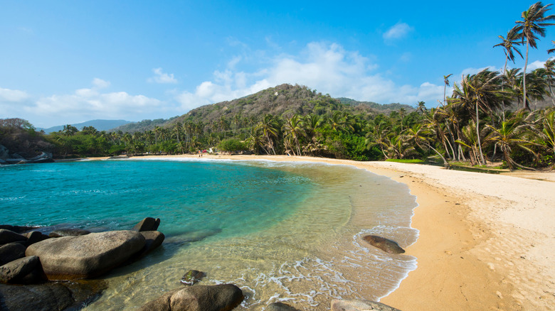 Long empty beach and jungle