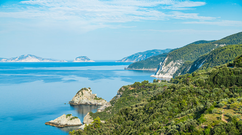 green coastline of Skopelos, Greece