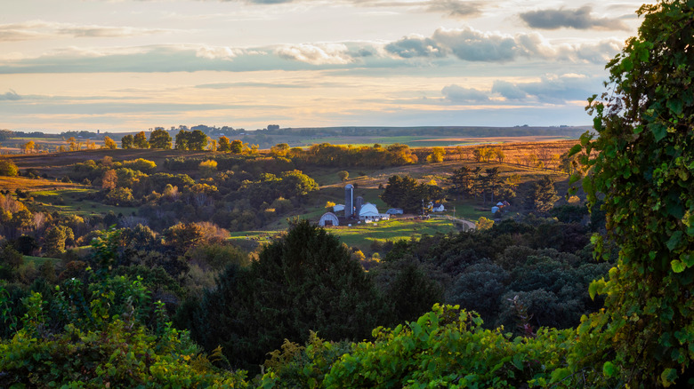 Wisconsin dairy farm