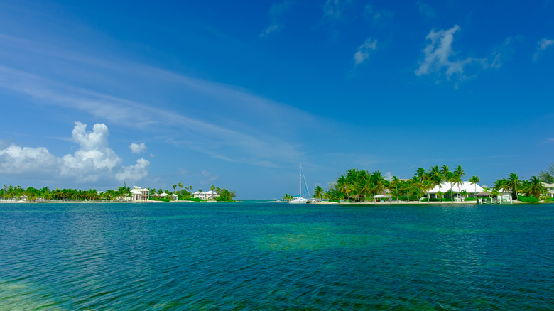 Grand Cayman's Bioluminescent Bay