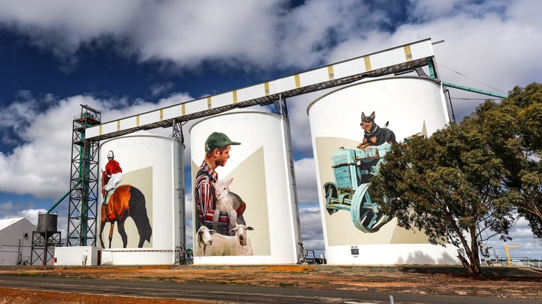 Silo Art Trail, Western Australia