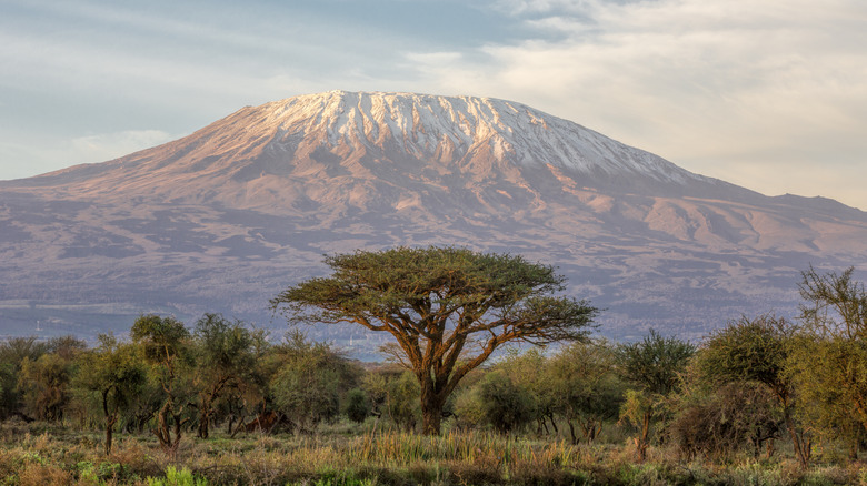 Mount Kilimanjaro