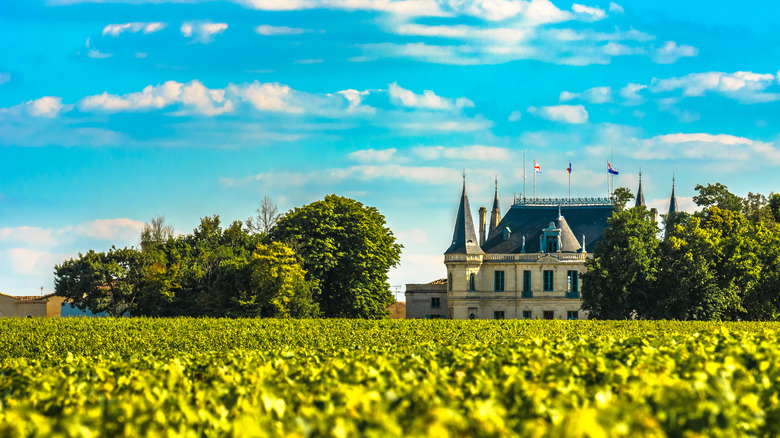 Château overlooking Bordeaux vineyards