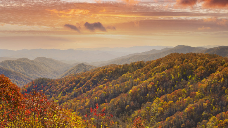 smoky mountains in fall