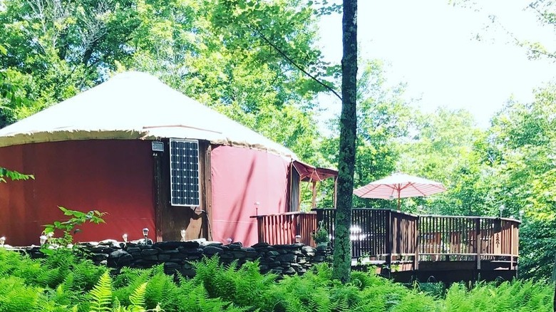 Yurt in the forest