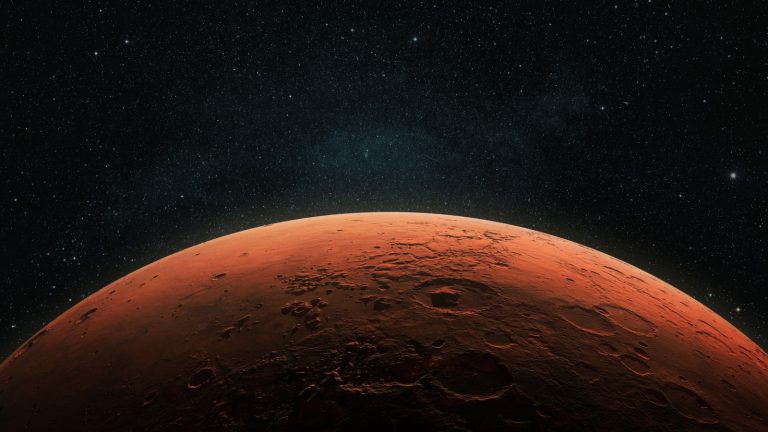 The Potential Consequences of a NASA Experiment on Life on Mars