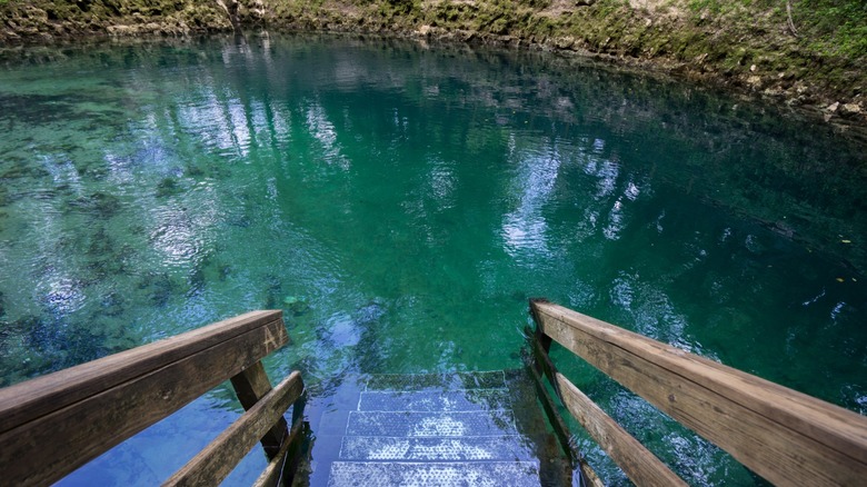 An Underrated Park in Florida Boasts One of the Largest Spring-Fed Swimming Spots